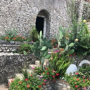 Meet your Posher, Rosanne